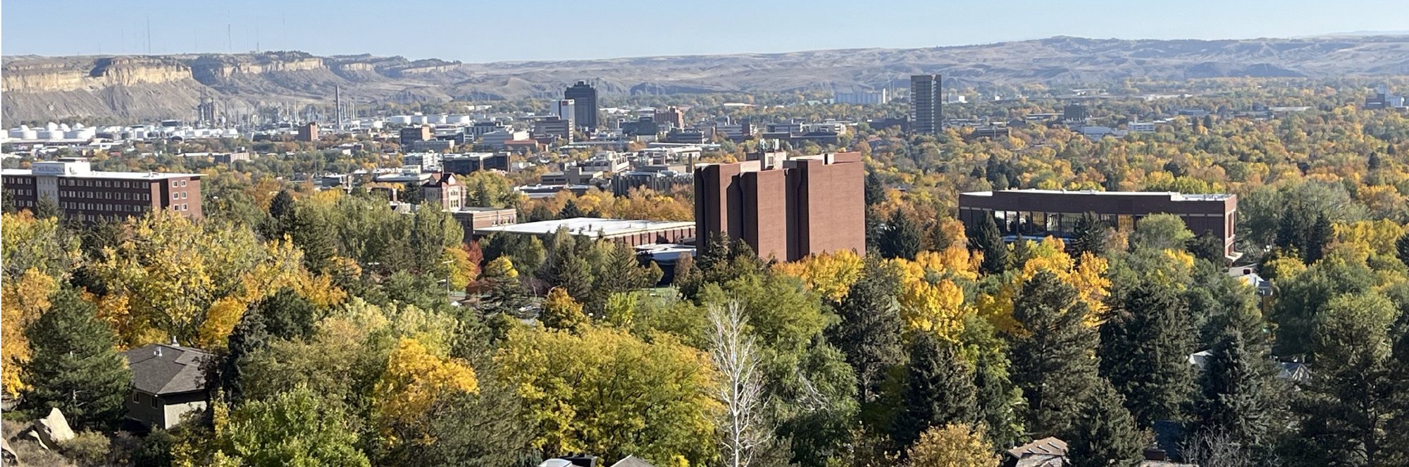 Billings in mid-October: golden cottonwoods and evergreens across the valley, with downtown and the Rims beyond